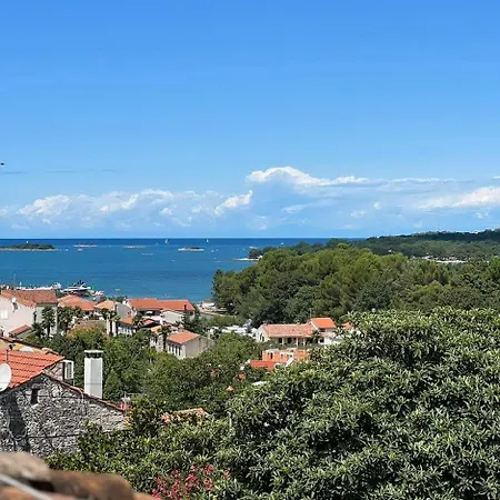 Vista Art Sea View Villa Funtana